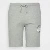 Jack & Jones JJIBRAT LOGO - Shorts - Light Grey Melange