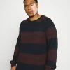 Jack & Jones JJPANNEL STRIPE CREW NECK - Jumper - Port Royale