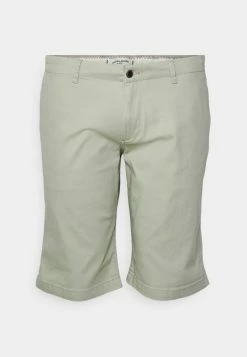 Jack & Jones JJIDAVE - Shorts - Tea
