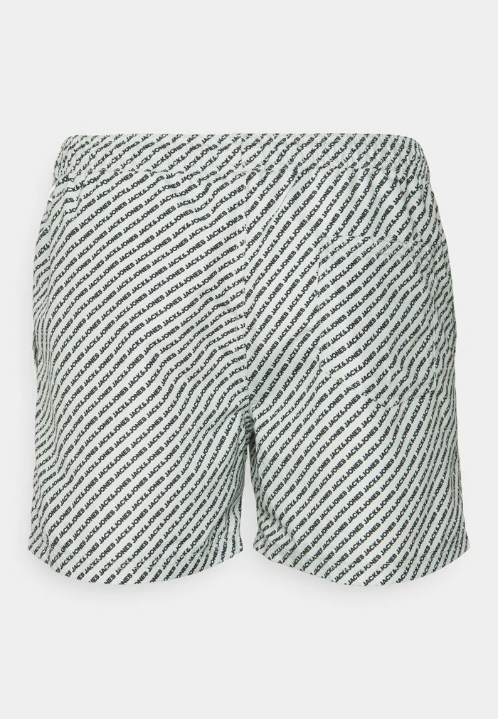 Jack & Jones JJICRETE JJSWIM BRANDED - Swimming Shorts - Metal 2 Jack & Jones JJICRETE JJSWIM BRANDED - Swimming Shorts - Metal - Image 2
