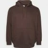 Jack & Jones JORBRINK HOOD - Sweatshirt - Seal Brown