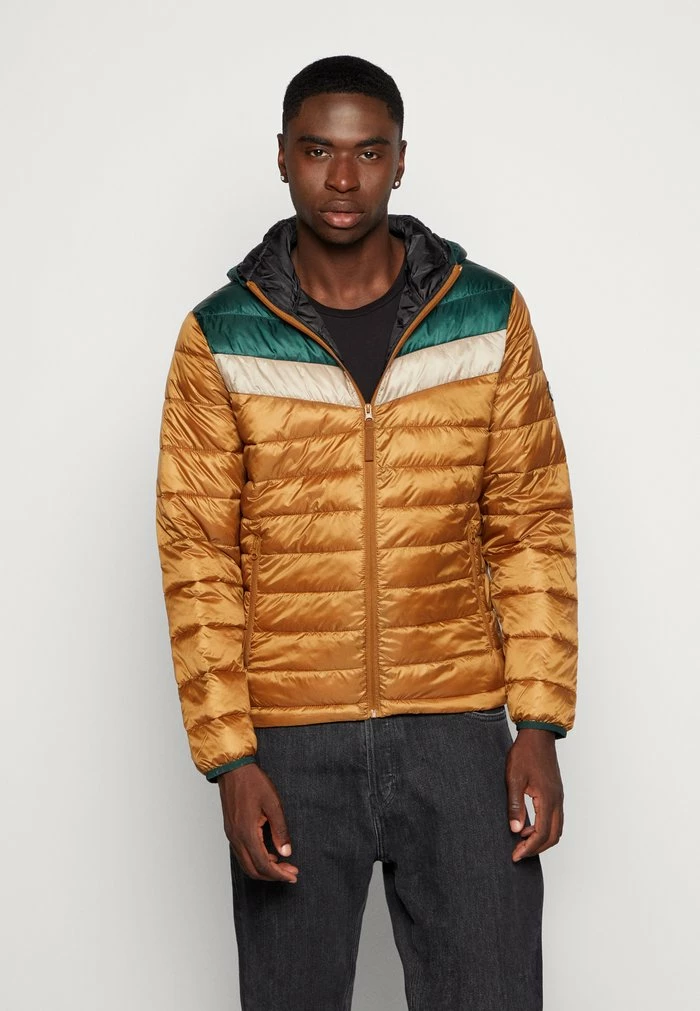 Jack & Jones JJMICK PUFFER HOOD - Light Jacket - Light Brown 1 Jack & Jones JJMICK PUFFER HOOD - Light Jacket - Light Brown