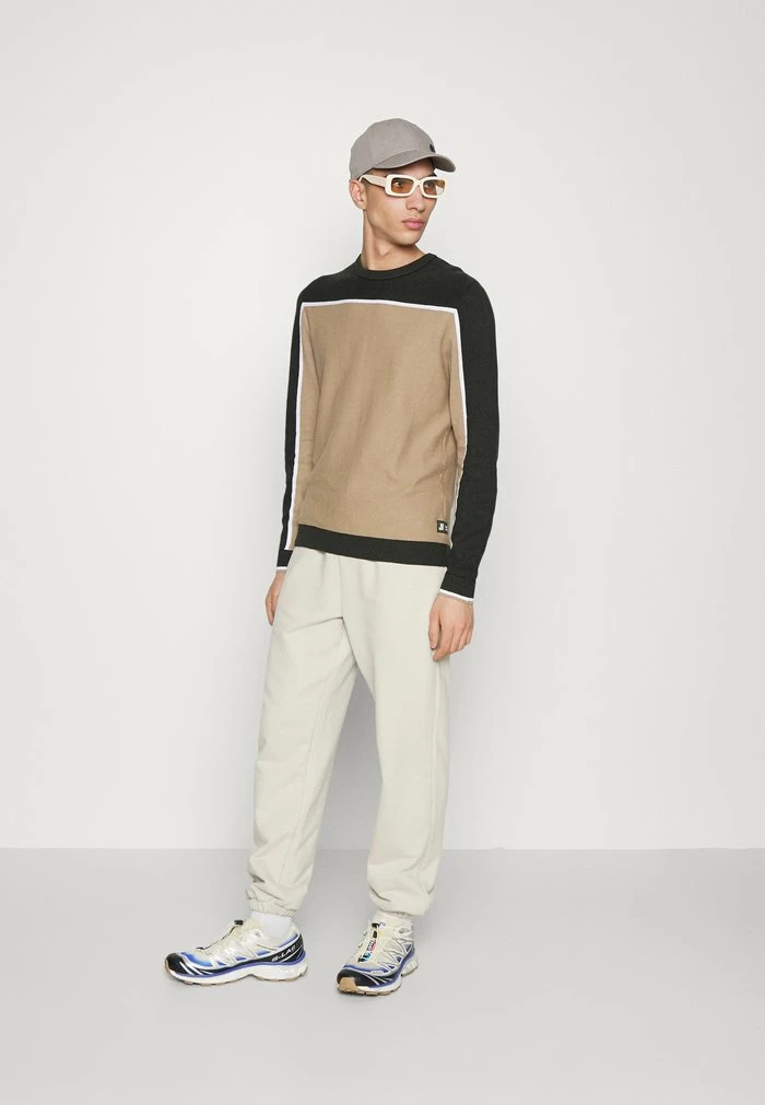 Jack & Jones JCOLOGAN CREW NECK - Jumper - Dune 2 Jack & Jones JCOLOGAN CREW NECK - Jumper - Dune - Image 2