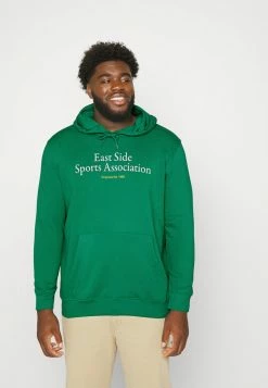 Jack & Jones JORBRINK CITY HOOD - Sweatshirt - Lush Meadow