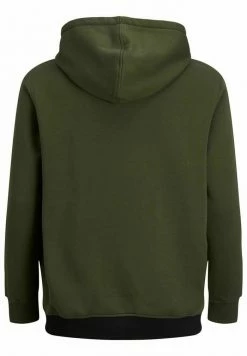 Jack & Jones JJEURBAN BLOCKING HOOD - Hoodie - Forest Night -Jack & Jones Shop 853751b7c2024ff3b979d08b0304a80a