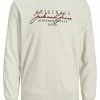 Jack & Jones JORWILLOW CREW NECK - Sweatshirt - Moonbeam