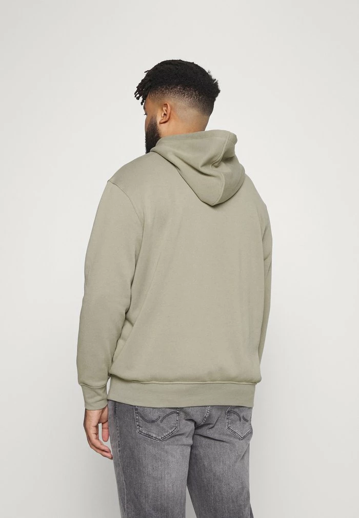 Jack & Jones JPRBLABOOSTER HOOD - Sweatshirt - Silver Sage 3 Jack & Jones JPRBLABOOSTER HOOD - Sweatshirt - Silver Sage - Image 3