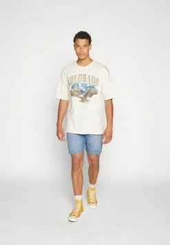 Alternative view of Jack & Jones JORCOLORA TEE CREW NECK - Print T-shirt - Birch