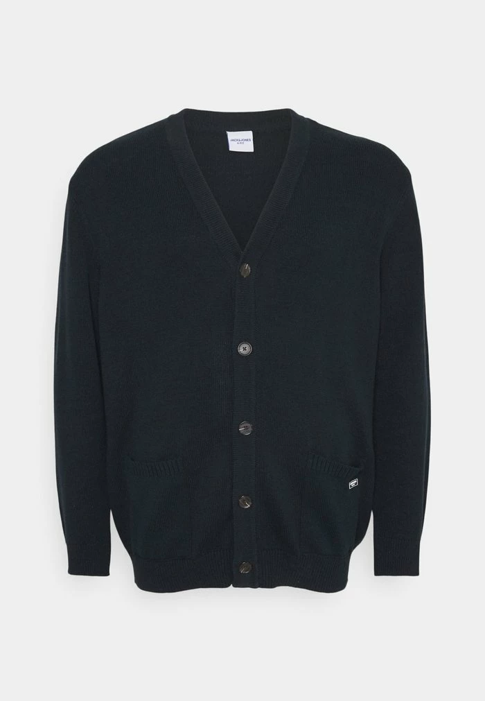 Jack & Jones JORJAMES CARDIGAN - Cardigan - Sky Captain 4 Jack & Jones JORJAMES CARDIGAN - Cardigan - Sky Captain - Image 4