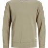Jack & Jones JJEORGANIC BASIC CREW NECK NOOS - Sweatshirt - Crockery