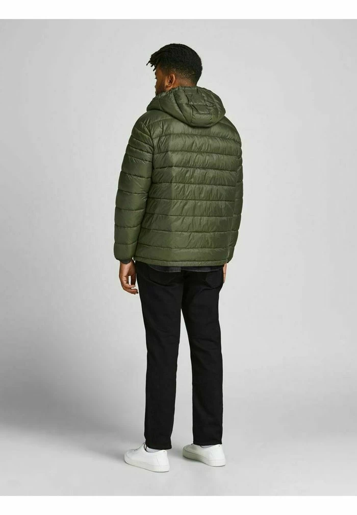Jack & Jones JJEACE PUFFER HOOD - Light Jacket - Forest Night 3 Jack & Jones JJEACE PUFFER HOOD - Light Jacket - Forest Night - Image 3
