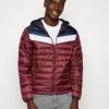 Jack & Jones JJMICK PUFFER HOOD - Light Jacket - Port Royale