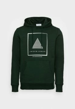 Jack & Jones JJROBERT HOODY - Sweatshirt - Pine Grove