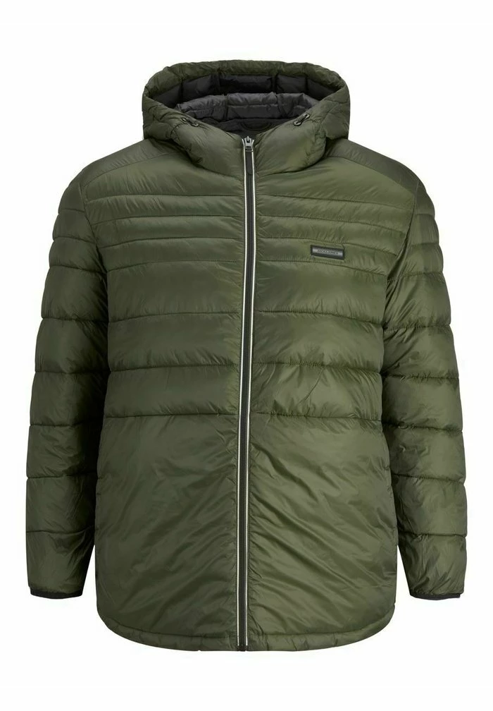 Jack & Jones JJEACE PUFFER HOOD - Light Jacket - Forest Night 6 Jack & Jones JJEACE PUFFER HOOD - Light Jacket - Forest Night - Image 6